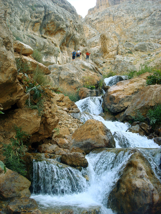 Ali Saeidi NeghabeKoohestaN, Damavand (دماوند)