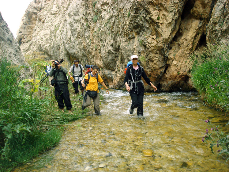 Ali Saeidi NeghabeKoohestaN, Damavand (دماوند)