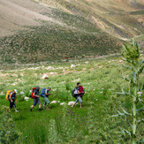 Ali Saeidi NeghabeKoohestaN, Damavand (دماوند)