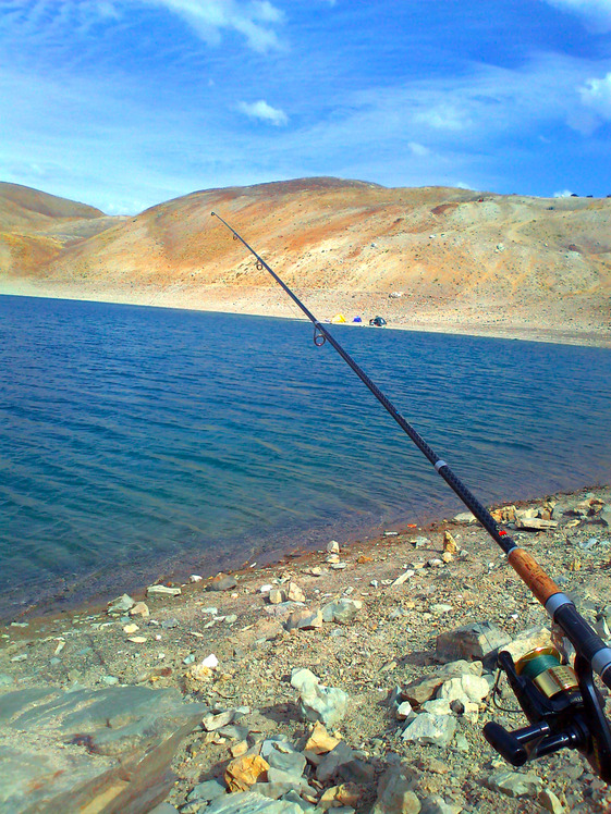 Ali Saeidi NeghabeKoohestaN, Damavand (دماوند)