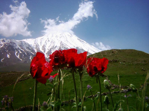 damavand ziba, Damavand (دماوند)