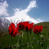 damavand ziba, Damavand (دماوند)