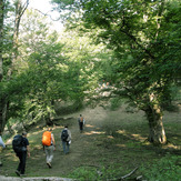 Ali Saeidi NeghabeKoohestaN, Damavand (دماوند)