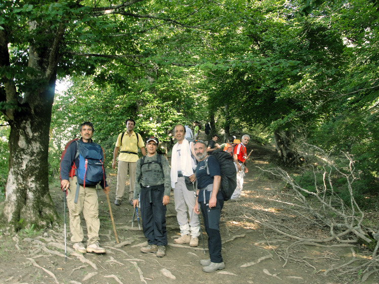 Ali Saeidi NeghabeKoohestaN, Damavand (دماوند)