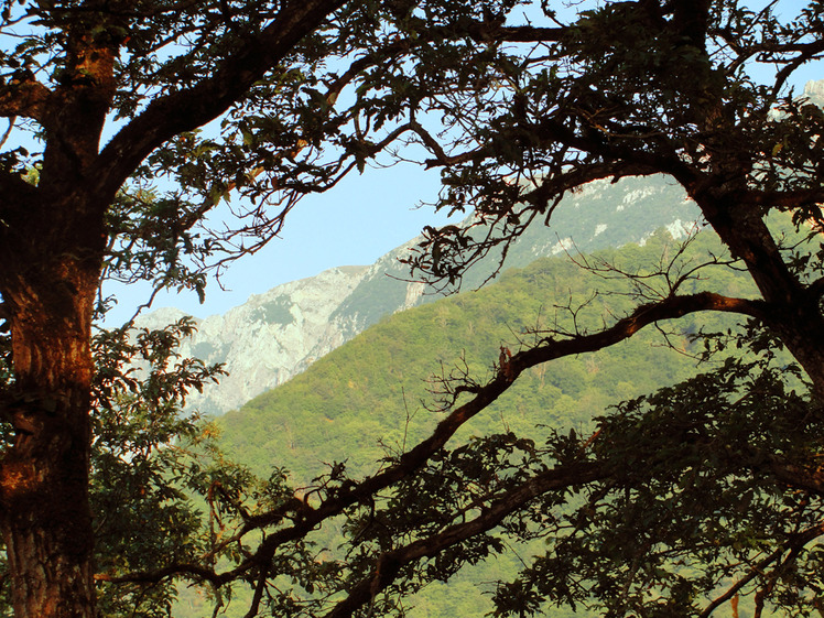 Ali Saeidi NeghabeKoohestaN, Damavand (دماوند)