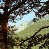 Ali Saeidi NeghabeKoohestaN, Damavand (دماوند)