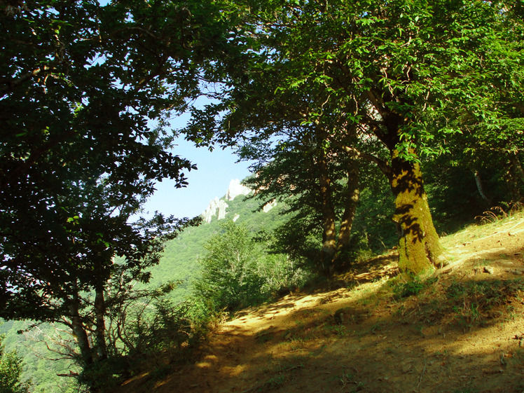 Ali Saeidi NeghabeKoohestaN, Damavand (دماوند)