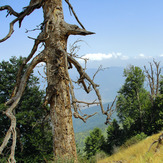 Ali Saeidi NeghabeKoohestaN, Damavand (دماوند)