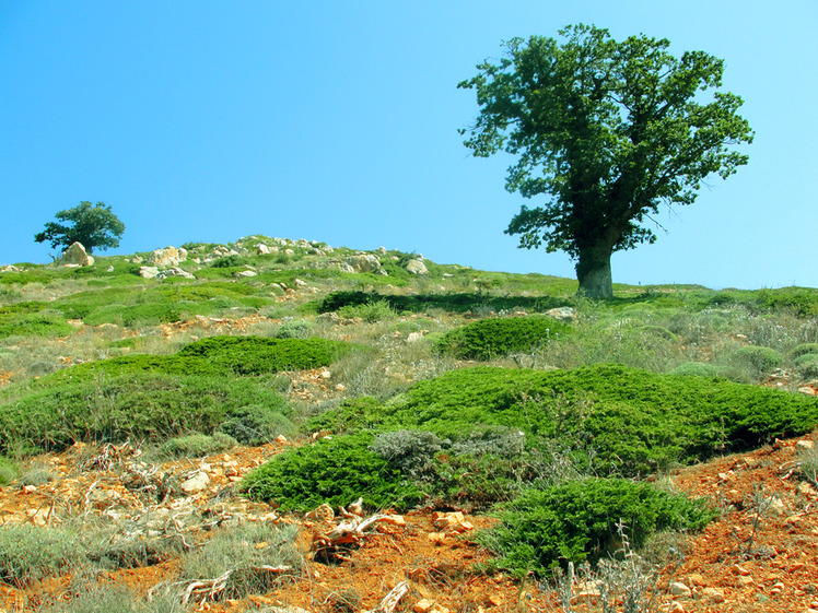 Ali Saeidi NeghabeKoohestaN, Damavand (دماوند)