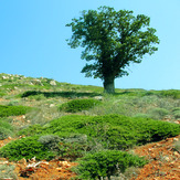 Ali Saeidi NeghabeKoohestaN, Damavand (دماوند)