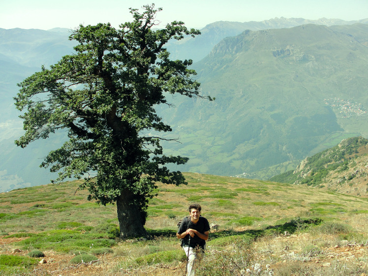 Ali Saeidi NeghabeKoohestaN, Damavand (دماوند)