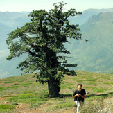 Ali Saeidi NeghabeKoohestaN, Damavand (دماوند)