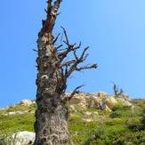 Ali Saeidi NeghabeKoohestaN, Damavand (دماوند)