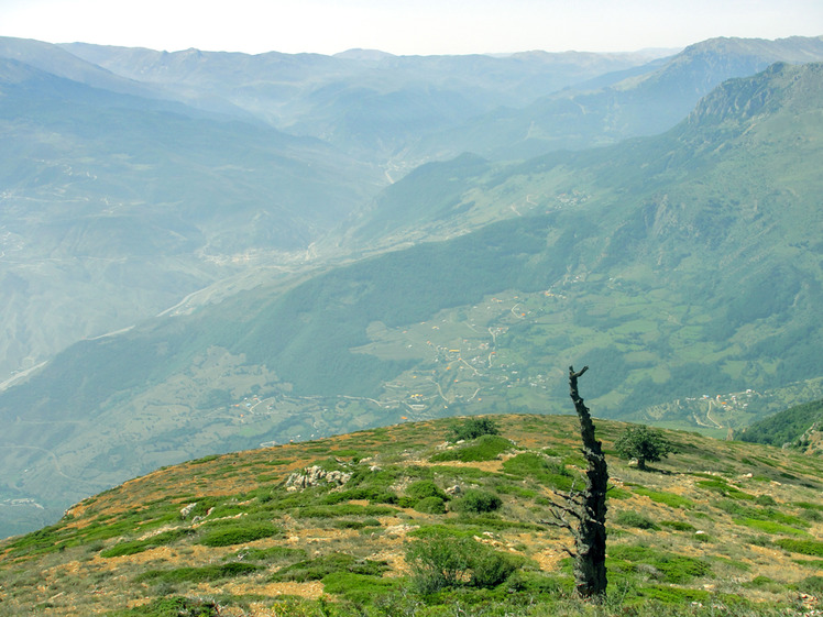 Ali Saeidi NeghabeKoohestaN, Damavand (دماوند)