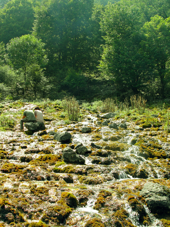 Ali Saeidi NeghabeKoohestaN, Damavand (دماوند)