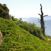 Ali Saeidi NeghabeKoohestaN, Damavand (دماوند)