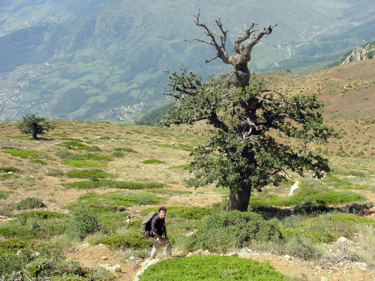 Ali Saeidi NeghabeKoohestaN, Damavand (دماوند)