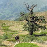 Ali Saeidi NeghabeKoohestaN, Damavand (دماوند)