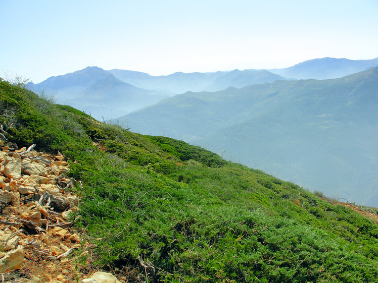 Ali Saeidi NeghabeKoohestaN, Damavand (دماوند)