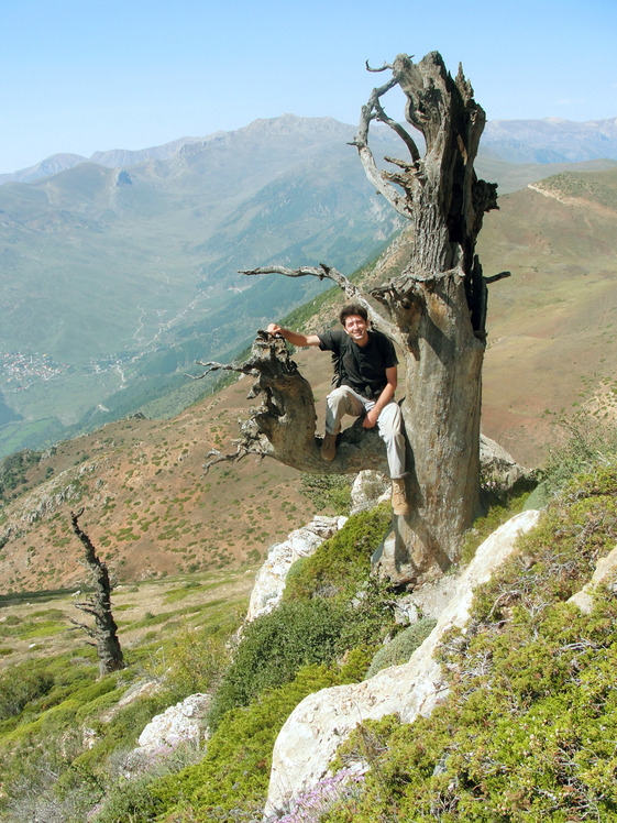 Ali Saeidi NeghabeKoohestaN, Damavand (دماوند)