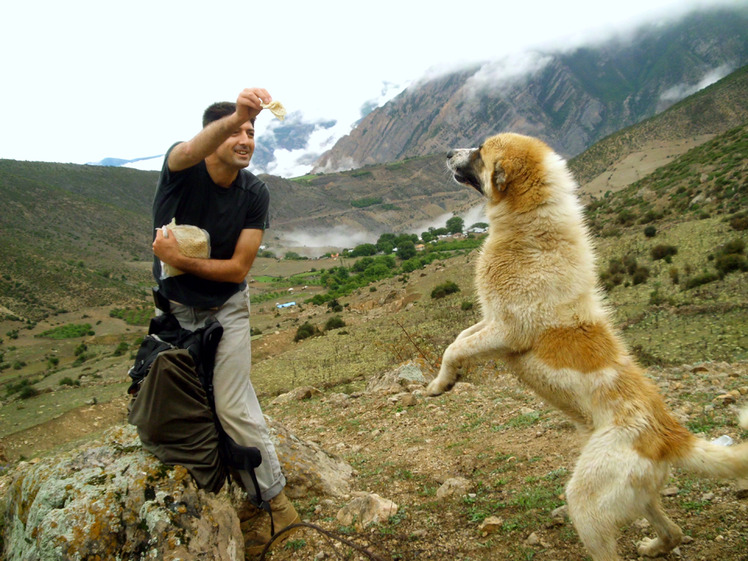 Ali Saeidi NeghabeKoohestaN, Damavand (دماوند)