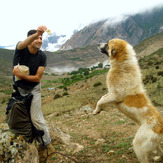 Ali Saeidi NeghabeKoohestaN, Damavand (دماوند)