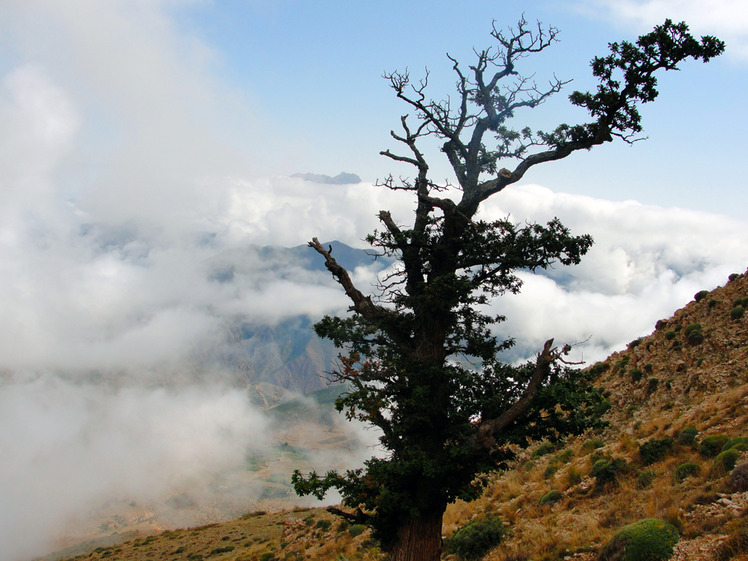 Ali Saeidi NeghabeKoohestaN, Damavand (دماوند)