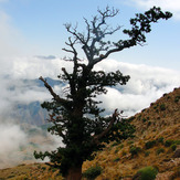 Ali Saeidi NeghabeKoohestaN, Damavand (دماوند)