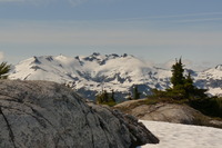 Tom Taylor from Mt Myra, Mount Tom Taylor photo