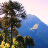 Valle del Naranjo, Lonquimay