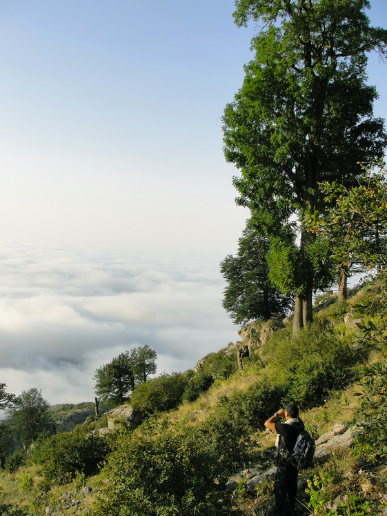 Ali Saeidi NeghabeKoohestaN, Damavand (دماوند)