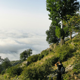 Ali Saeidi NeghabeKoohestaN, Damavand (دماوند)