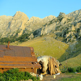 Ali Saeidi NeghabeKoohestaN, Damavand (دماوند)