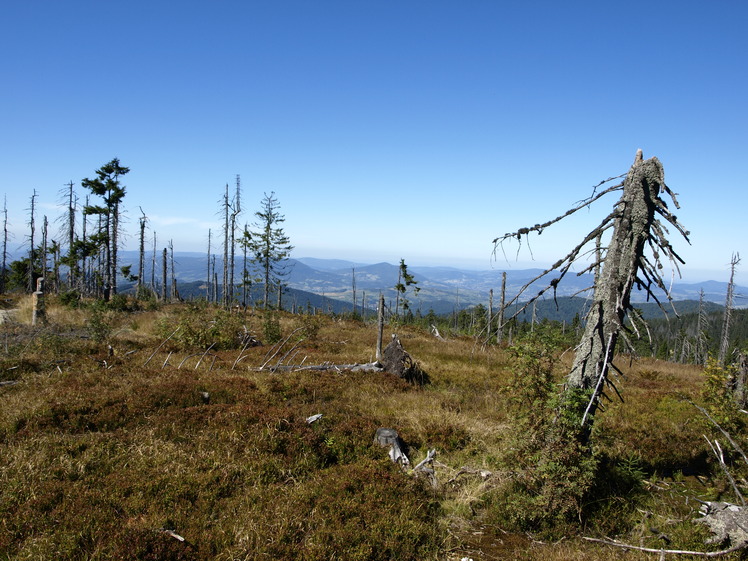 Gorce mountains - Turbacz 1314 m