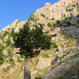 Ali Saeidi NeghabeKoohestaN, Damavand (دماوند)