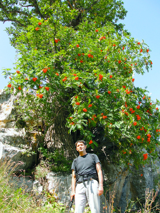 Ali Saeidi NeghabeKoohestaN, Damavand (دماوند)