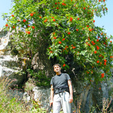 Ali Saeidi NeghabeKoohestaN, Damavand (دماوند)