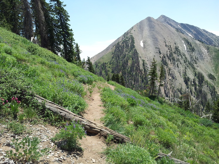 Mount Nebo from North Peak Trail