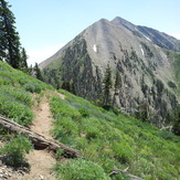 Mount Nebo from North Peak Trail