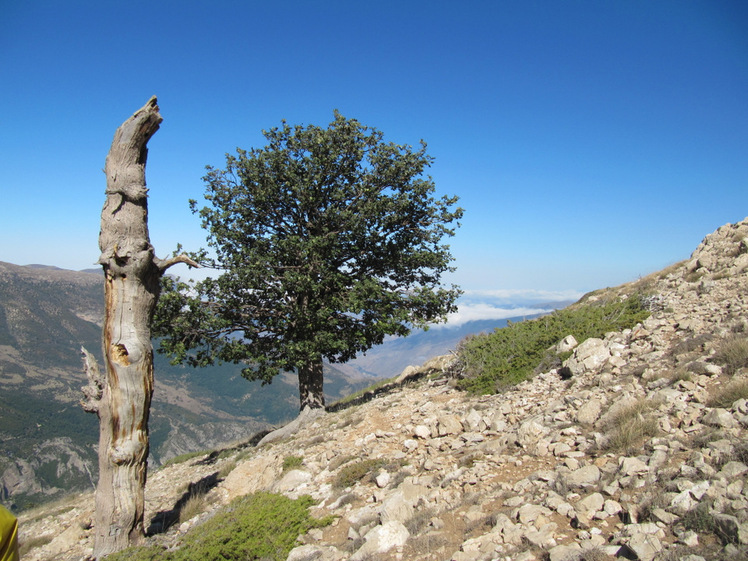 Ali Saeidi NeghabeKoohestaN, Damavand (دماوند)