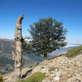 Ali Saeidi NeghabeKoohestaN, Damavand (دماوند)