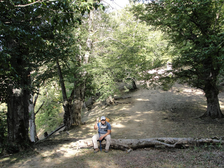 Ali Saeidi NeghabeKoohestaN, Damavand (دماوند)