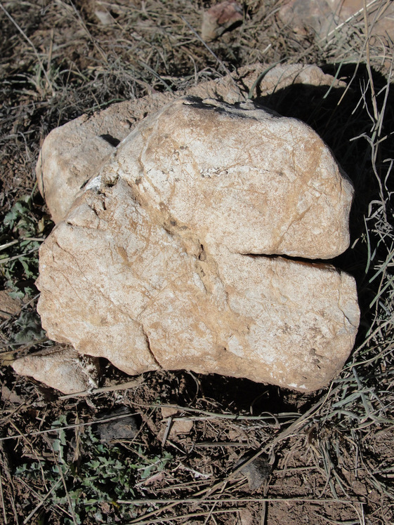 Ali Saeidi NeghabeKoohestaN, Damavand (دماوند)