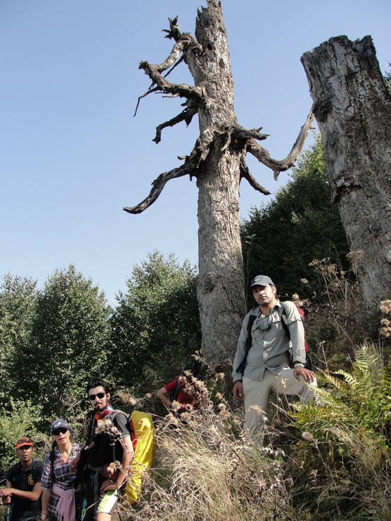 Ali Saeidi NeghabeKoohestaN, Damavand (دماوند)