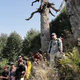 Ali Saeidi NeghabeKoohestaN, Damavand (دماوند)