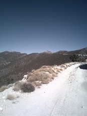 W Side of Mt Potosi Looking Towards Summit, Potosi Mountain photo