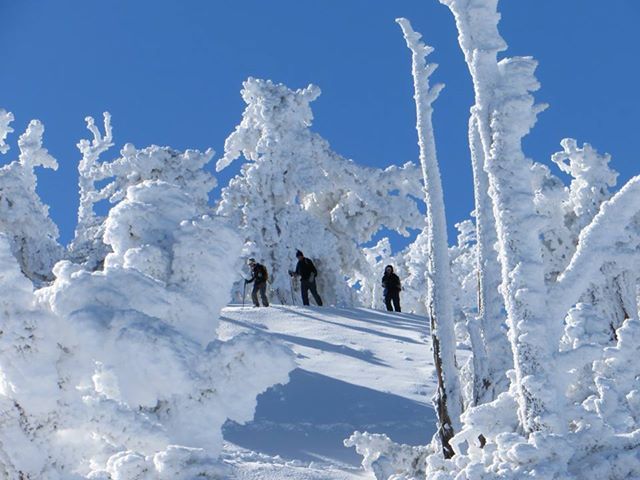 Coming off the Summit of Mount Baden Powell, Mount Baden-Powell