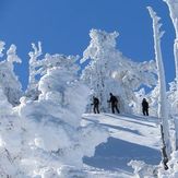 Coming off the Summit of Mount Baden Powell, Mount Baden-Powell