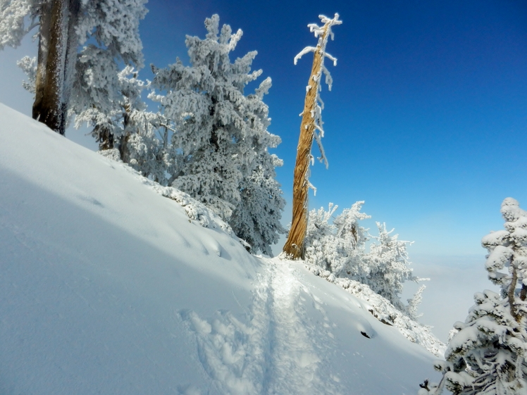 Accending Baden Powell, Mount Baden-Powell