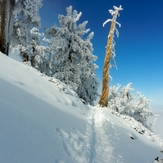 Accending Baden Powell, Mount Baden-Powell